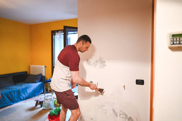 Best Mold Remediation  in Lake Riverside, CA