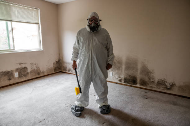 Best Toxic Mold Removal  in Lake Riverside, CA